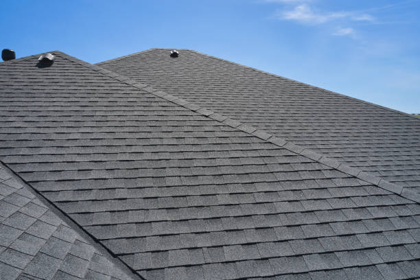 Best Sheet Metal Roofing  in Susitna North, AK